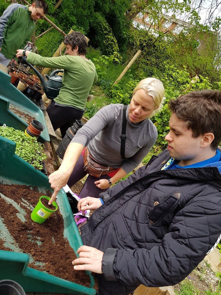 plant sale