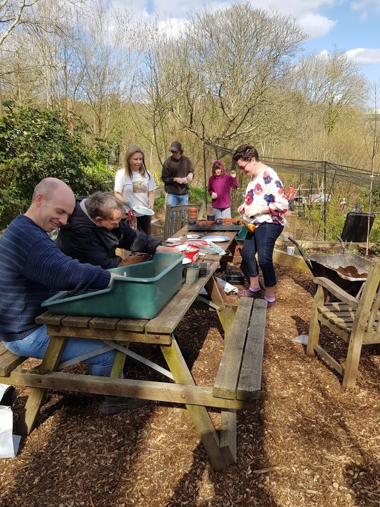 plant sale