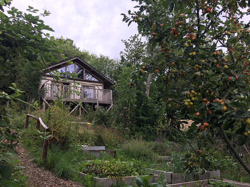 forest garden