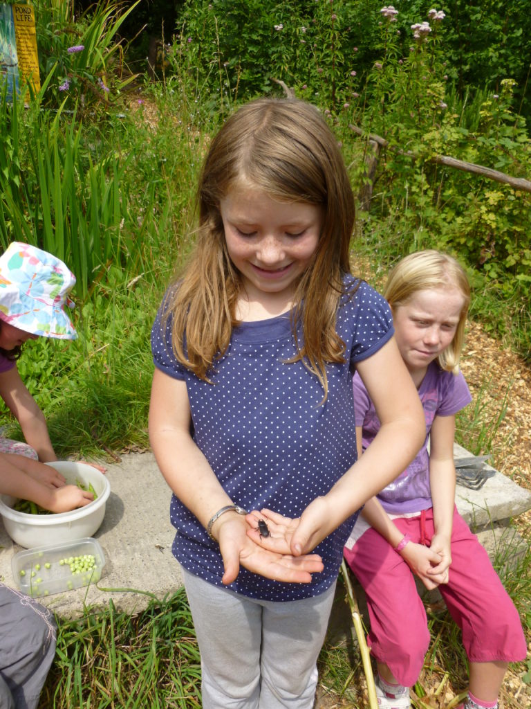 evie holding beetle 2009